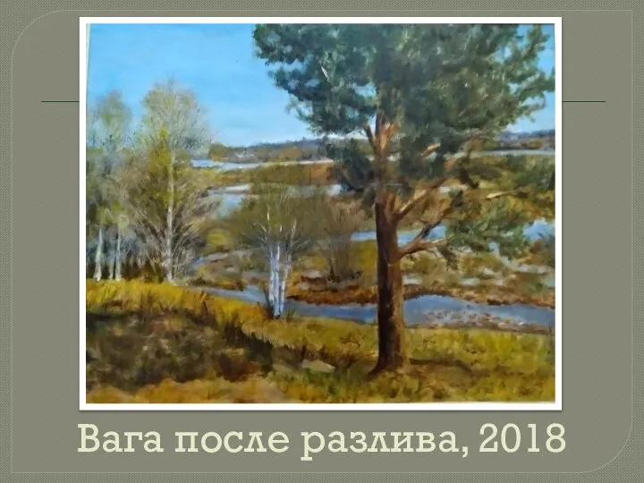 Вага после разлива, 2018