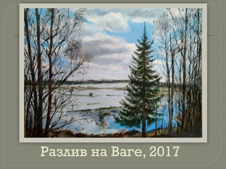 Разлив на Ваге, 2017