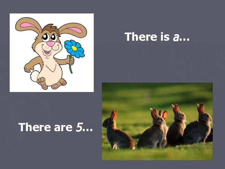 There is а… There are 5…