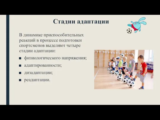 Стадии адаптации В динамике приспособительных реакций в процессе подготовки спортсменов выделяют