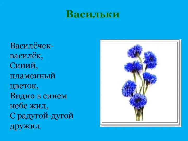 Васильки Василёчек-василёк, Синий, пламенный цветок, Видно в синем небе жил, С радугой-дугой дружил.