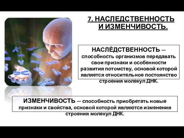 7. НАСЛЕДСТВЕННОСТЬ И ИЗМЕНЧИВОСТЬ. НАСЛЕ́ДСТВЕННОСТЬ — способность организмов передавать свои признаки