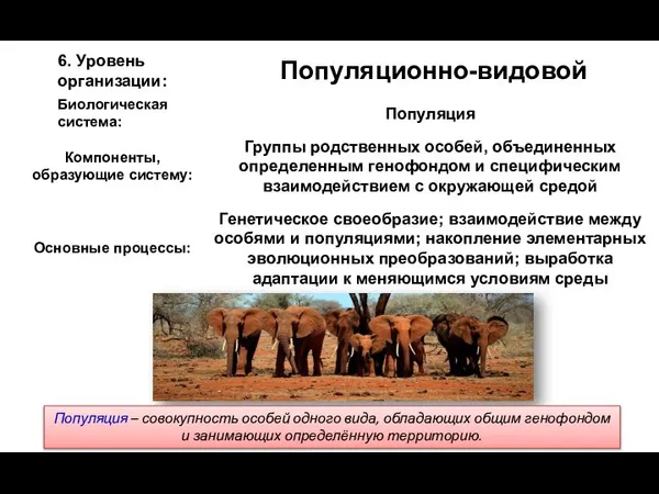 Популяция – совокупность особей одного вида, обладающих общим генофондом и занимающих определённую территорию.