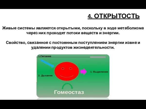 4. ОТКРЫТОСТЬ Живые системы являются открытыми, поскольку в ходе метаболизма через