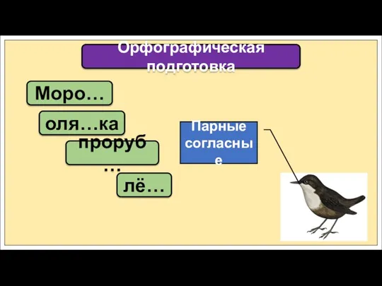 Моро… Орфографическая подготовка оля…ка проруб… лё… Парные согласные