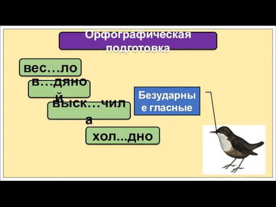 вес…ло Орфографическая подготовка в…дяной выск…чила хол...дно Безударные гласные