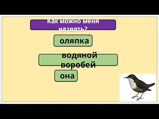 оляпка Как можно меня назвать? водяной воробей она