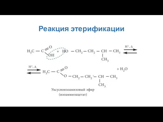 Реакция этерификации