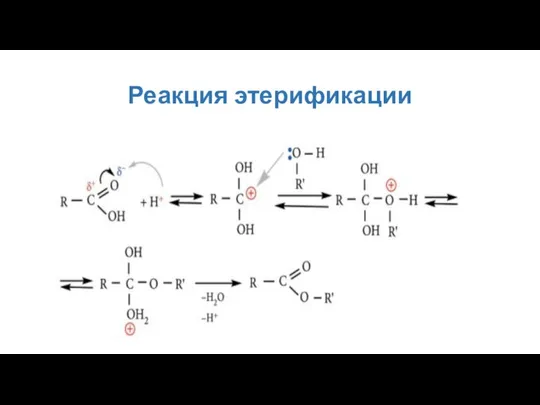 Реакция этерификации