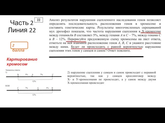 Часть 2 Линия 22 2 балла Картирование хромосом