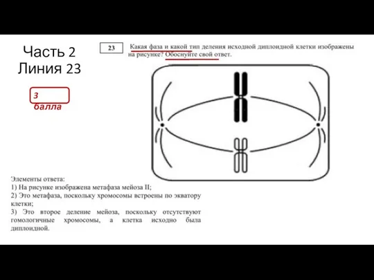 Часть 2 Линия 23 3 балла