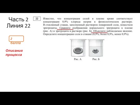 Часть 2 Линия 22 2 балла Описание процесса