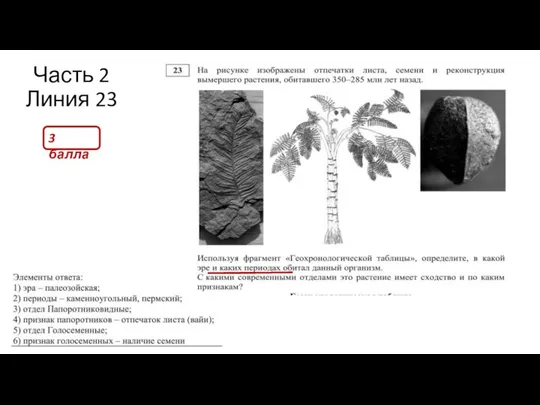 Часть 2 Линия 23 3 балла