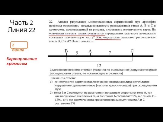 Часть 2 Линия 22 2 балла Картирование хромосом