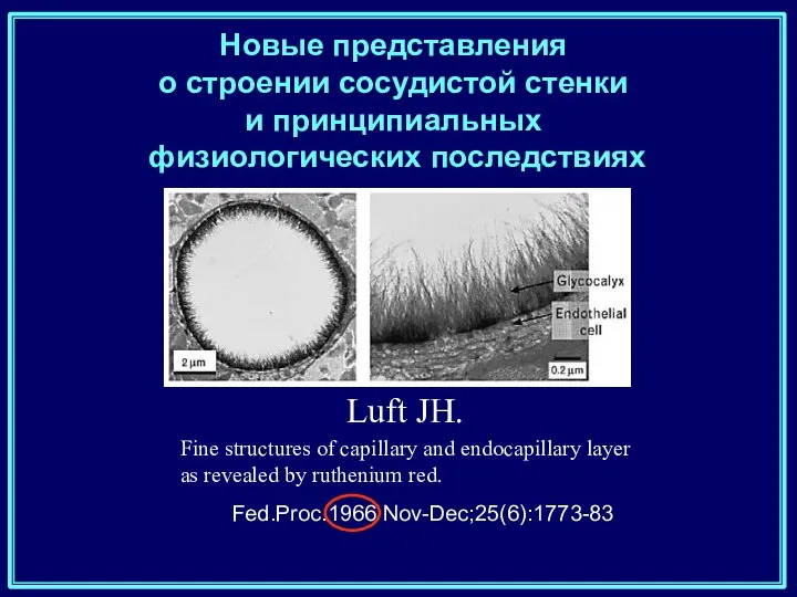 Fed.Proc.1966 Nov-Dec;25(6):1773-83 Luft JH. Fine structures of capillary and endocapillary layer