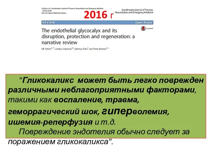 "Гликокаликс может быть легко поврежден различными неблагоприятными факторами, такими как воспаление,