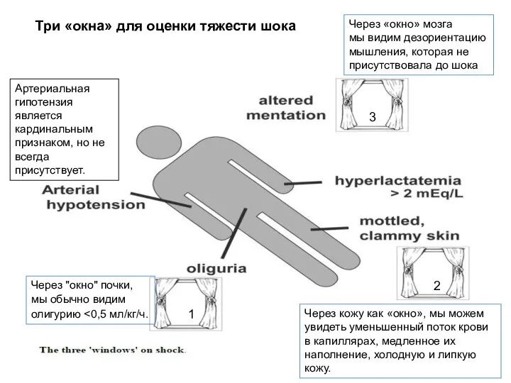 Три «окна» для оценки тяжести шока Через кожу как «окно», мы