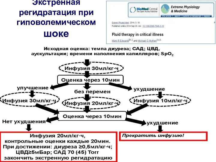 Экстренная регидратация при гиповолемическом шоке