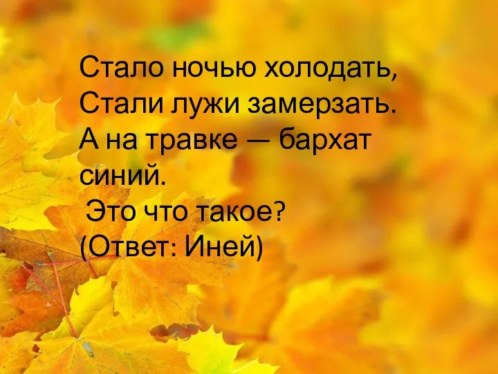 Стало ночью холодать, Стали лужи замерзать. А на травке — бархат