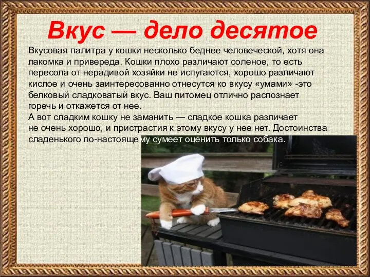 Вкус — дело десятое Вкусовая палитра у кошки несколько беднее человеческой,