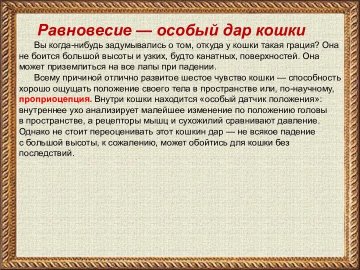 Равновесие — особый дар кошки Вы когда-нибудь задумывались о том, откуда