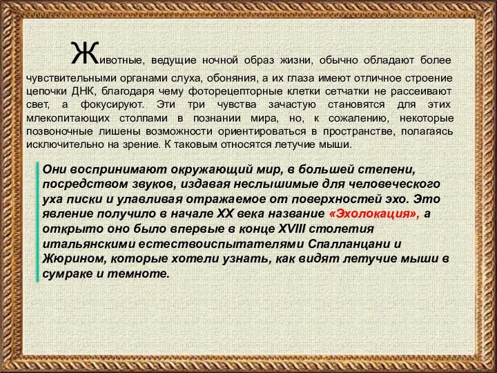 Животные, ведущие ночной образ жизни, обычно обладают более чувствительными органами слуха,