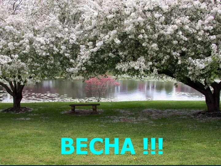 ВЕСНА !!!