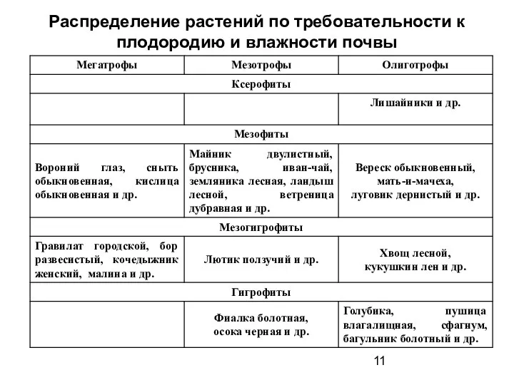 Распределение растений по требовательности к плодородию и влажности почвы