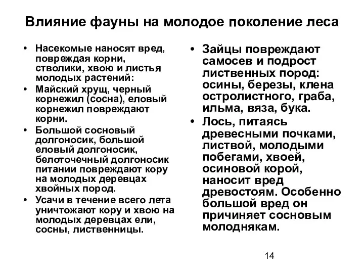 Влияние фауны на молодое поколение леса Насекомые наносят вред, повреждая корни,