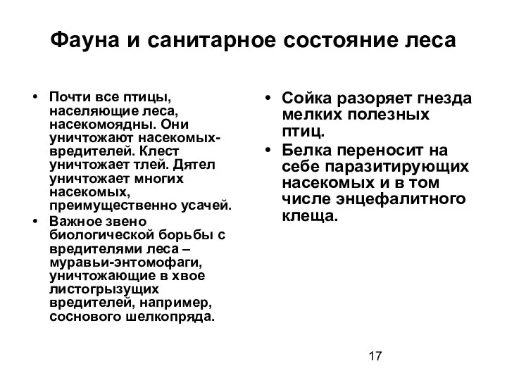 Фауна и санитарное состояние леса Почти все птицы, населяющие леса, насекомоядны.