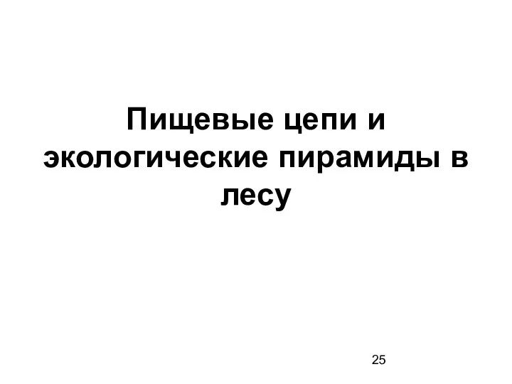 Пищевые цепи и экологические пирамиды в лесу