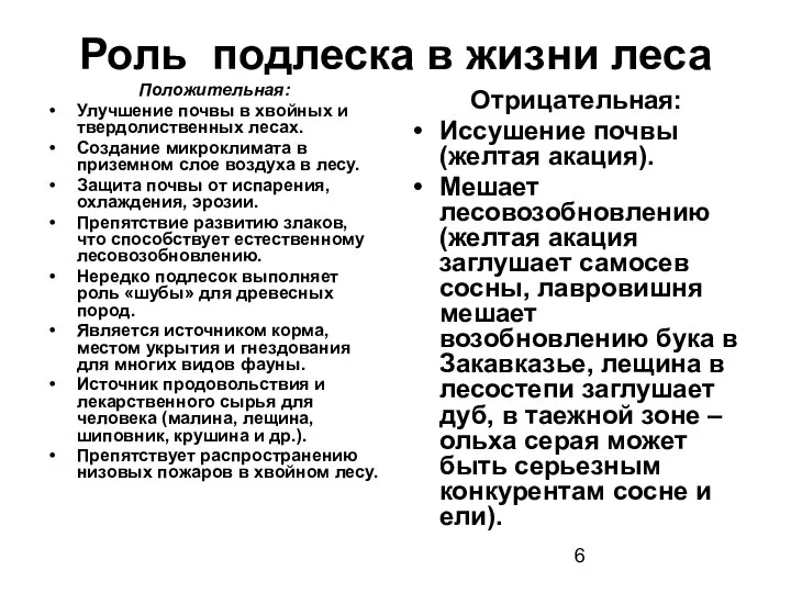 Роль подлеска в жизни леса Положительная: Улучшение почвы в хвойных и