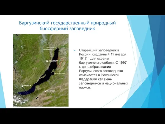 Баргузинский государственный природный биосферный заповедник Старейший заповедник в России, созданный 11