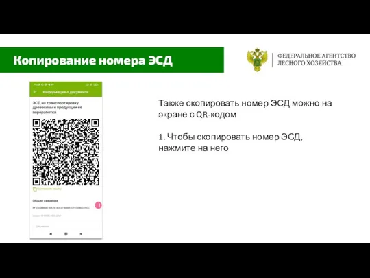 Также скопировать номер ЭСД можно на экране с QR-кодом 1. Чтобы