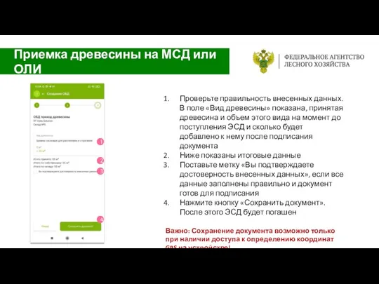 Проверьте правильность внесенных данных. В поле «Вид древесины» показана, принятая древесина