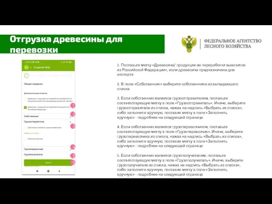 1. Поставьте метку «Древесина/ продукция ее переработки вывозится из Российской Федерации»,