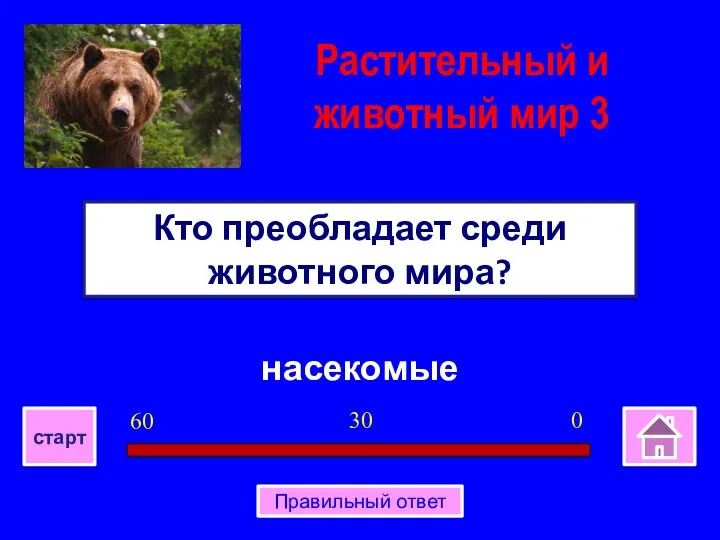 насекомые Кто преобладает среди животного мира? 0 30 60 старт Правильный