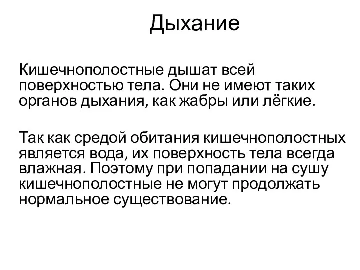 Дыхание Кишечнополостные дышат всей поверхностью тела. Они не имеют таких органов