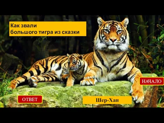 ОТВЕТ Шер-Хан НАЧАЛО Как звали большого тигра из сказки Р. Киплинга «Маугли»?