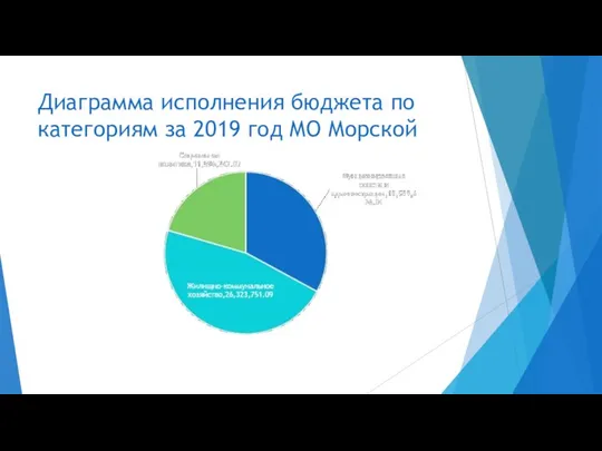 Диаграмма исполнения бюджета по категориям за 2019 год МО Морской