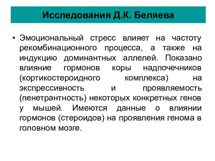 Исследования Д.К. Беляева Эмоциональный стресс влияет на частоту рекомбинационного процесса, а