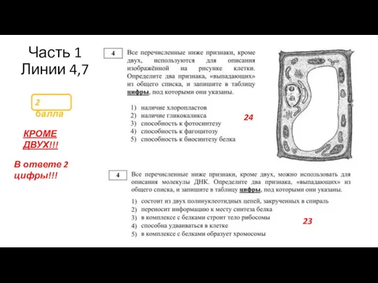 Часть 1 Линии 4,7 2 балла В ответе 2 цифры!!! КРОМЕ ДВУХ!!! 24 23