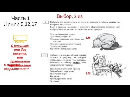 Часть 1 Линии 9,12,17 2 балла В порядке возрастания!!! С рисунком