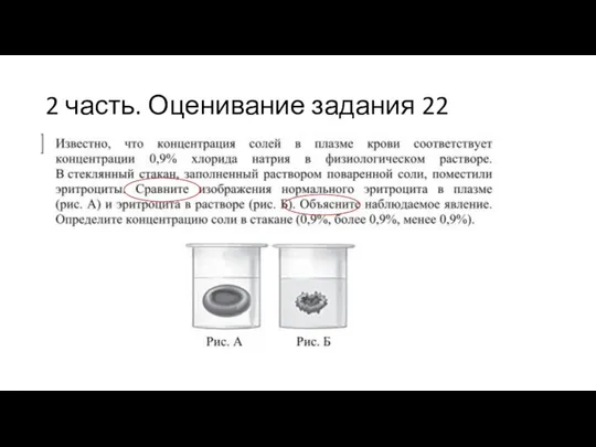 2 часть. Оценивание задания 22