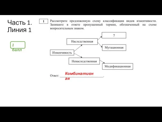 Часть 1. Линия 1 Комбинативная 1 балл