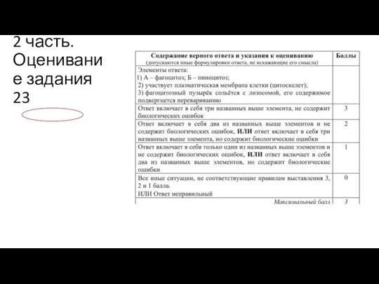 2 часть. Оценивание задания 23