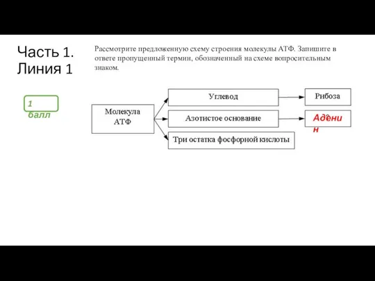 Часть 1. Линия 1 Рассмотрите предложенную схему строения молекулы АТФ. Запишите