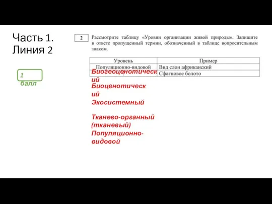 Часть 1. Линия 2 1 балл Биоценотический Экосистемный Биогеоценотический Тканево-органный (тканевый) Популяционно-видовой