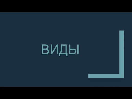 ВИДЫ