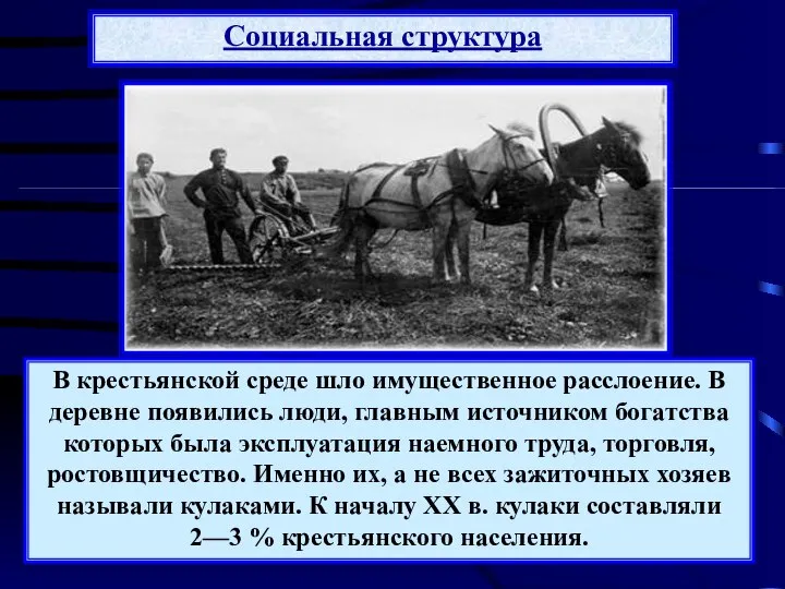 Социальная структура В крестьянской среде шло имущественное расслоение. В деревне появились